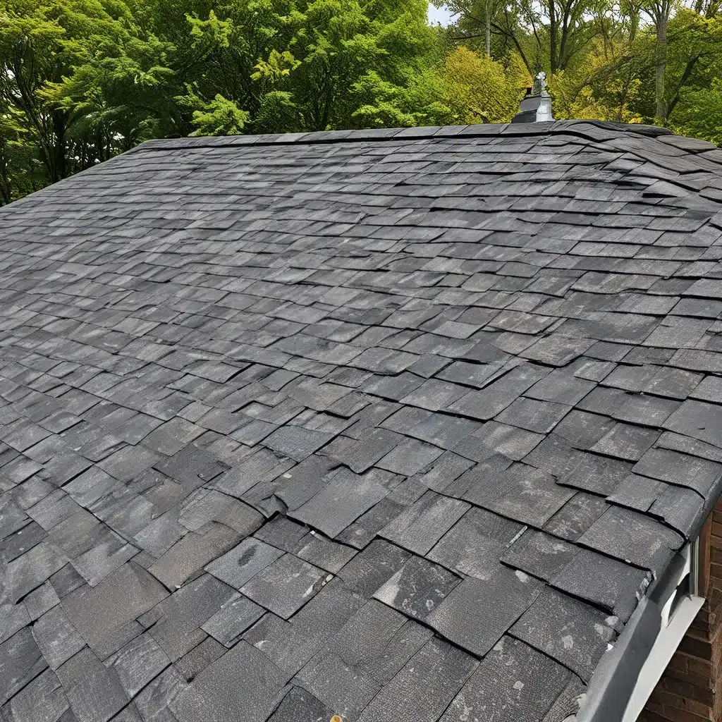 Sustainable Roofing Options for All Seasons